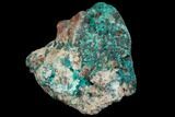 Dioptase, Shattuckite & Calcite Association - Tantara Mine, Congo #146745-2